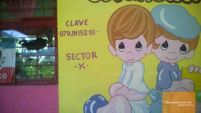 Entrada (vista previa)