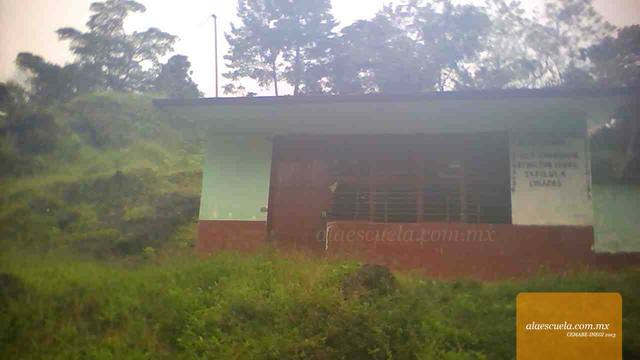 Entrada (vista previa)