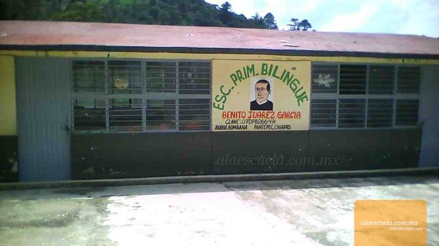 Entrada (vista previa)