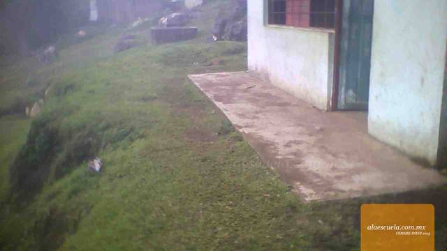 Entrada (vista previa)