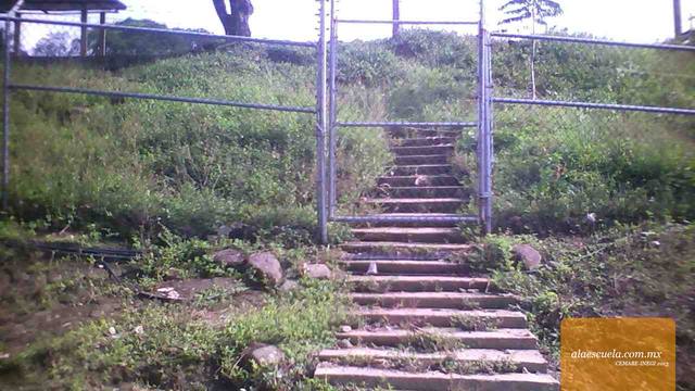 Entrada (vista previa)