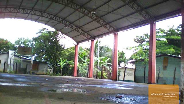 Entrada (vista previa)