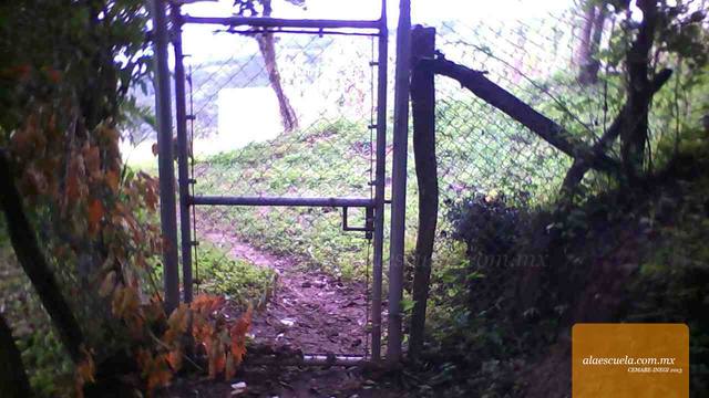 Entrada (vista previa)