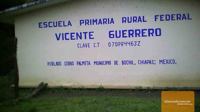 Entrada (vista previa)