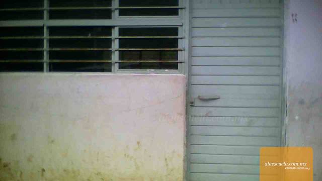 Entrada (vista previa)