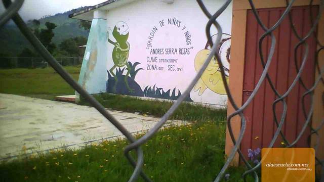 Entrada (vista previa)