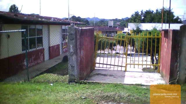 Entrada (vista previa)