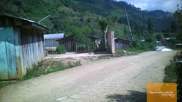 Entrada (vista previa)