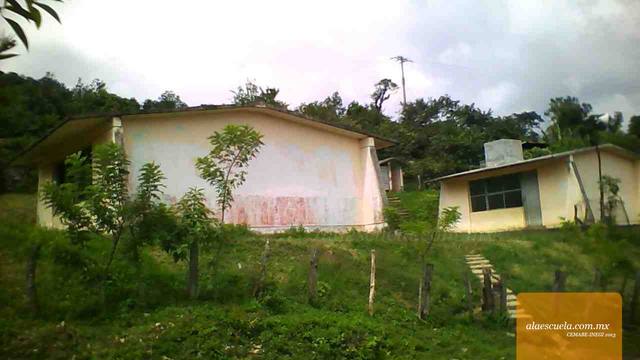 Entrada (vista previa)