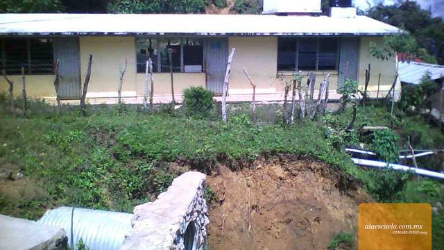 Entrada (vista previa)