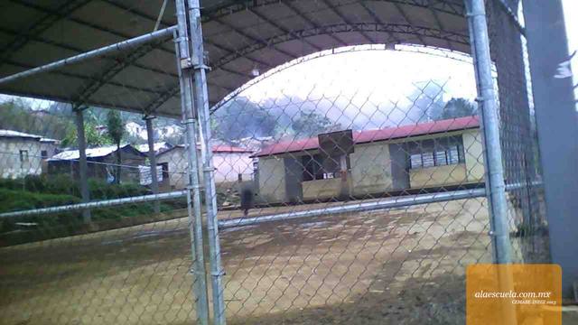 Entrada (vista previa)