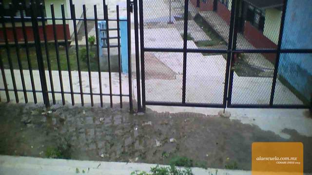 Entrada (vista previa)