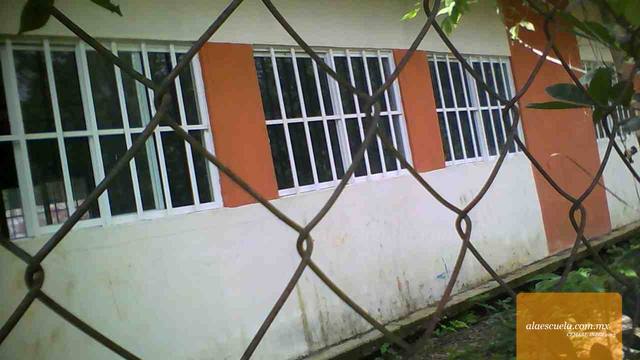 Entrada (vista previa)