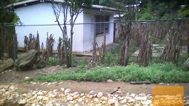 Entrada (vista previa)