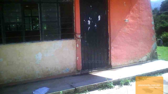 Entrada (vista previa)