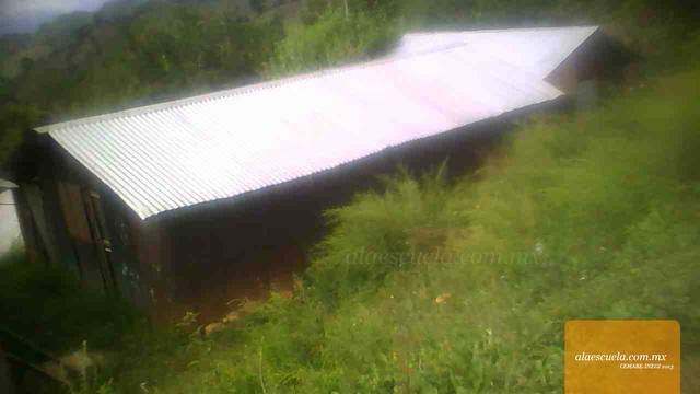 Entrada (vista previa)