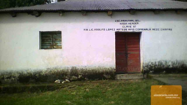 Entrada (vista previa)