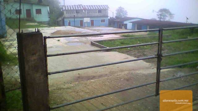 Entrada (vista previa)