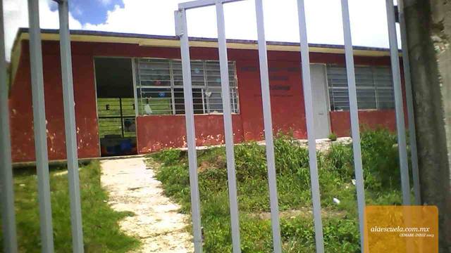 Entrada (vista previa)