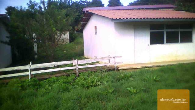 Entrada (vista previa)