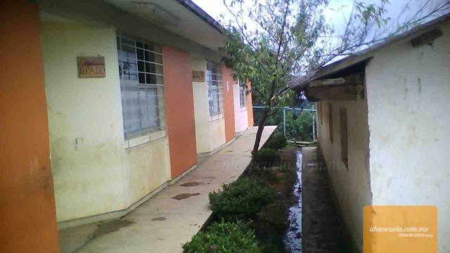 Entrada (vista previa)