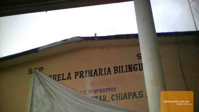 Entrada (vista previa)