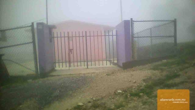 Entrada (vista previa)