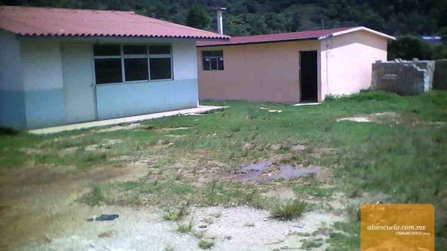 Entrada (vista previa)