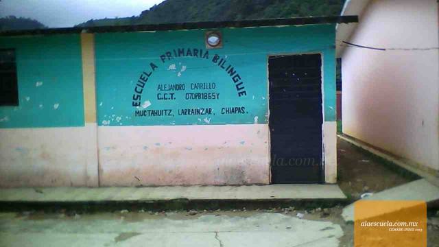 Entrada (vista previa)