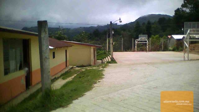 Entrada (vista previa)