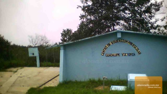 Entrada (vista previa)