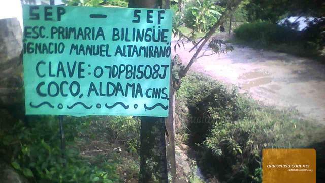 Entrada (vista previa)