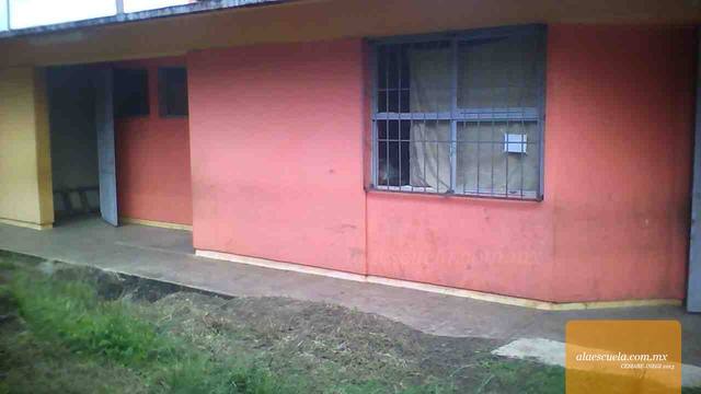 Entrada (vista previa)