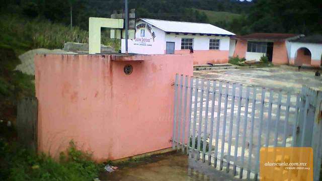 Entrada (vista previa)