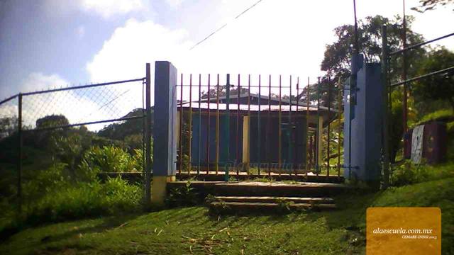 Entrada (vista previa)