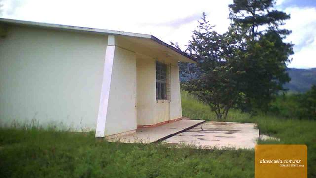 Entrada (vista previa)