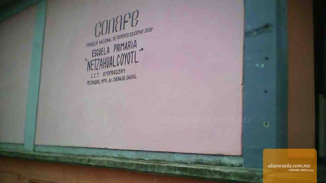 Entrada (vista previa)