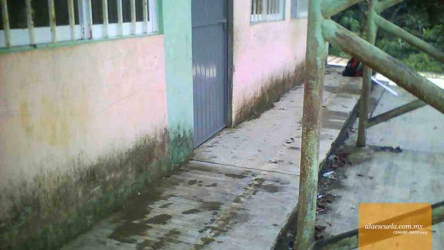 Entrada (vista previa)