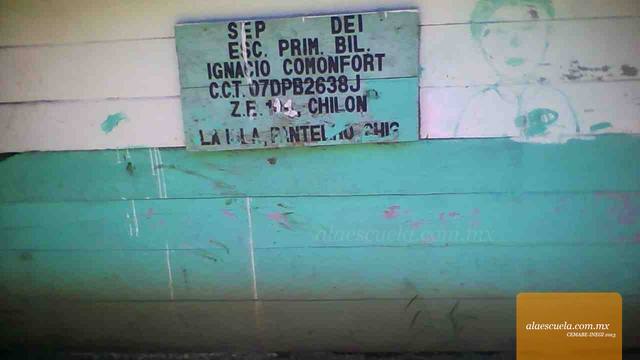 Entrada (vista previa)