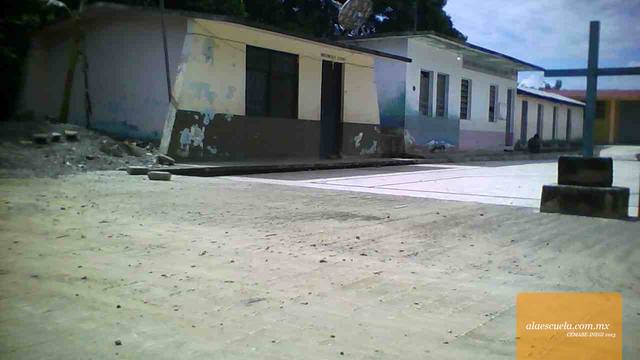 Entrada (vista previa)