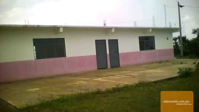 Entrada (vista previa)