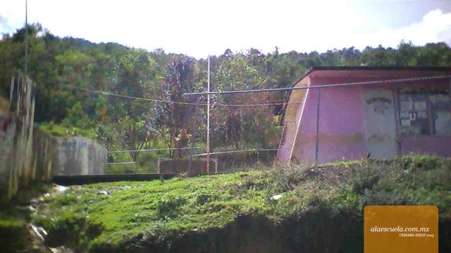 Entrada (vista previa)