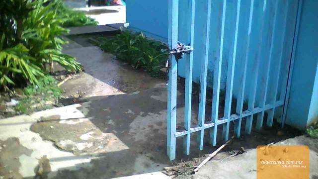 Entrada (vista previa)