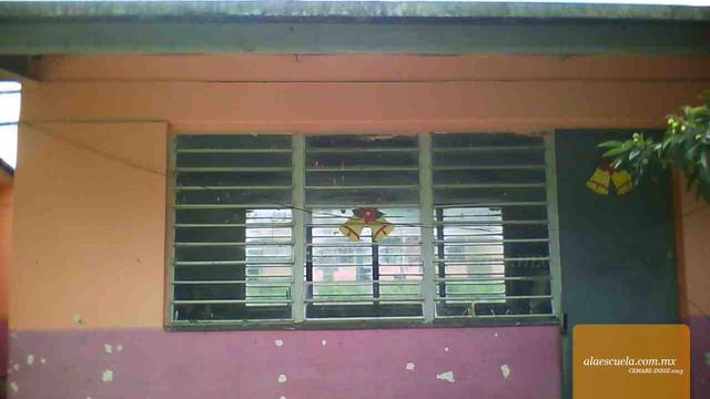 Entrada (vista previa)