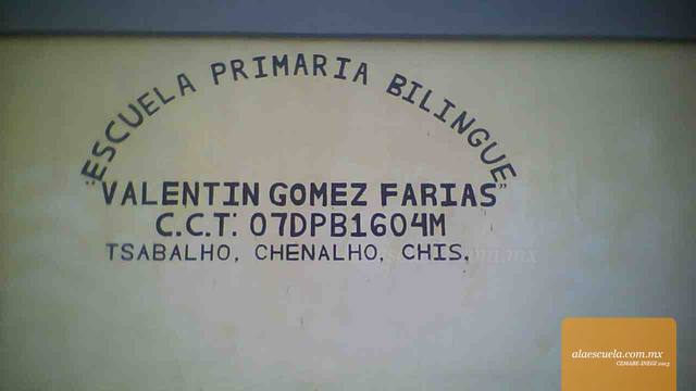 Entrada (vista previa)