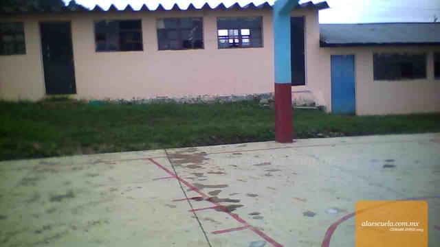 Entrada (vista previa)