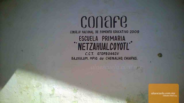 Entrada (vista previa)