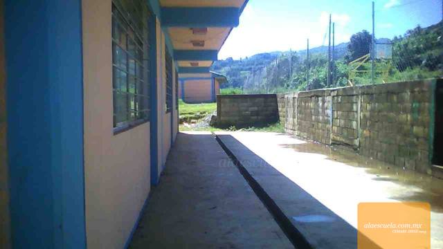 Entrada (vista previa)