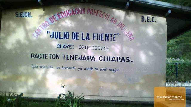 Entrada (vista previa)