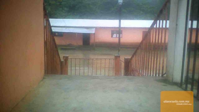 Entrada (vista previa)